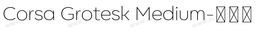 Corsa Grotesk Medium字体转换